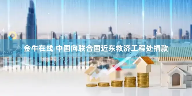 金牛在线 中国向联合国近东救济工程处捐款